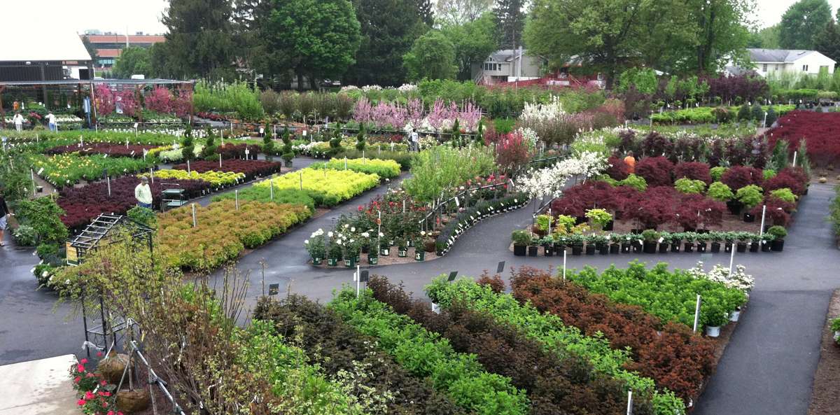 Nursery- 1000's of plants displayed in an outdoor 7 acre ...