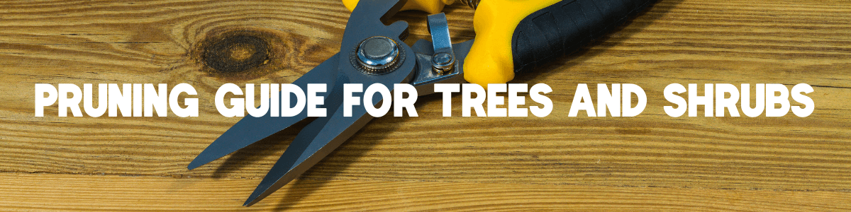 Pruning Guide For Trees and Shrubs