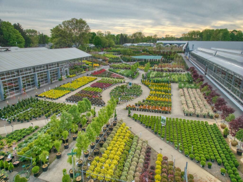 Chuck Hafner's Garden Center Syracuse New York