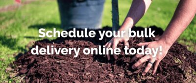 Schedule Online Delivery